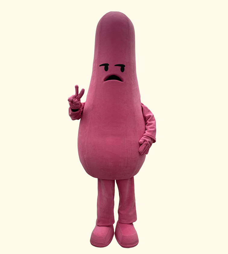 birillo mascot and costumes